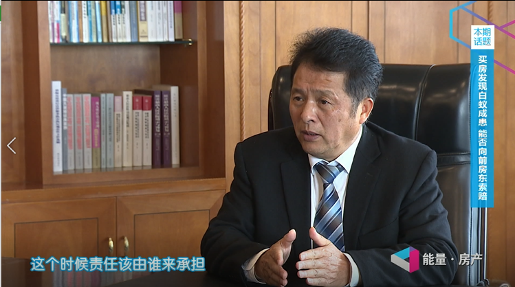 买房发现白蚁成患，能否向前房东索赔？
