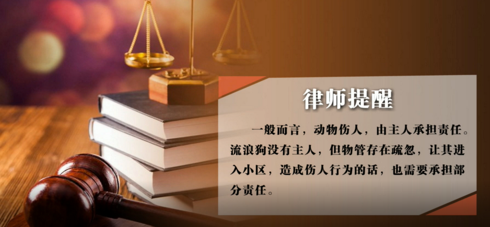 业主被流浪狗咬伤，物管是否要担责？