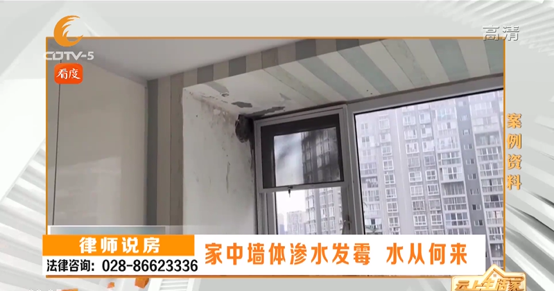 家中墙体渗水发霉，水从何来