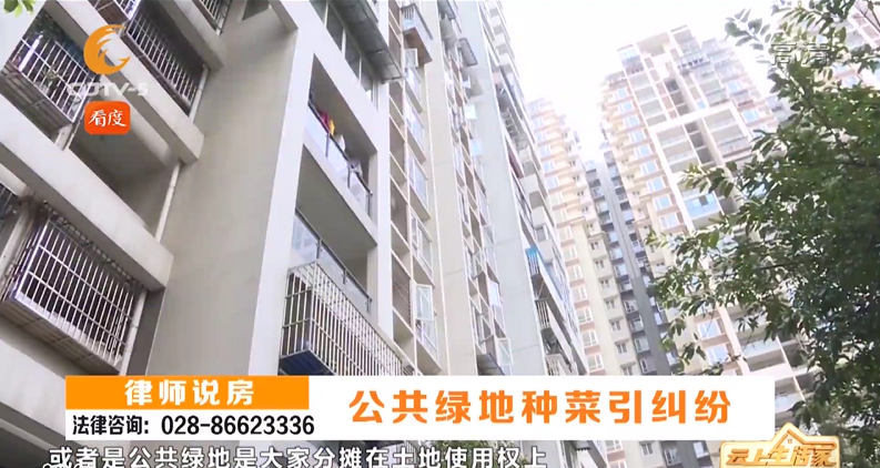 公共绿地种菜引纠纷