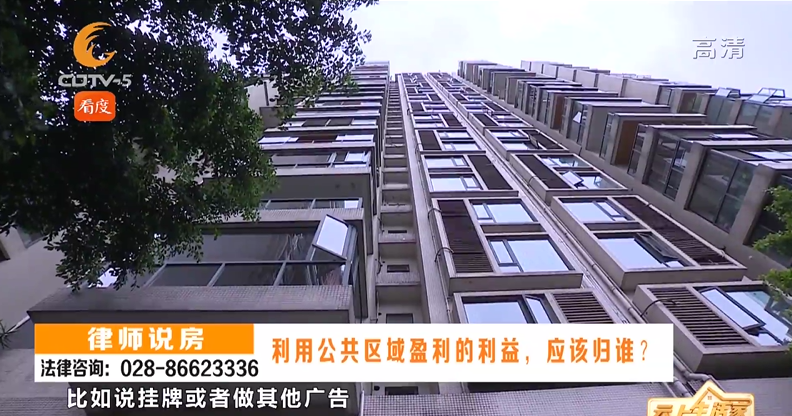 利用公共区域盈利的利益，应该归谁