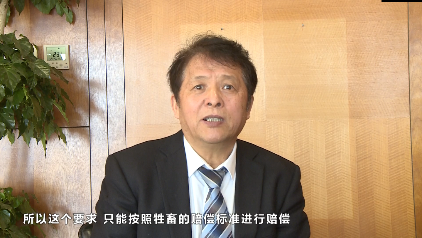 压死对方宠物狗，要求精神损失赔偿，这合理么？