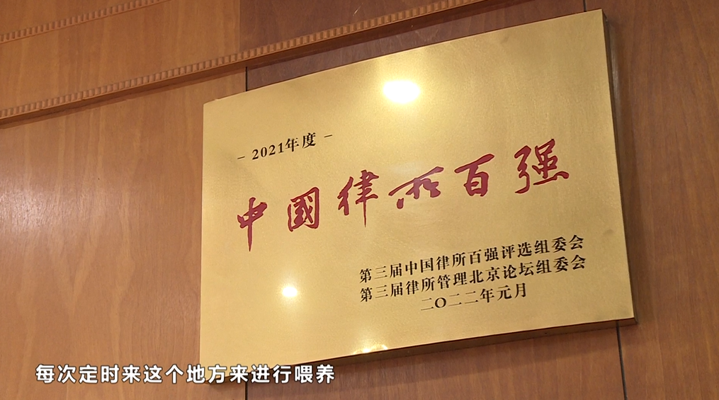 只要喂养流浪狗，就算事实收养，也得为它肇事负责？