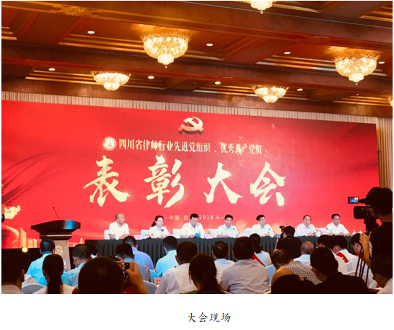 我所杨双瑜律师出席省律师行业先进党组织优秀共产党员表彰大会
